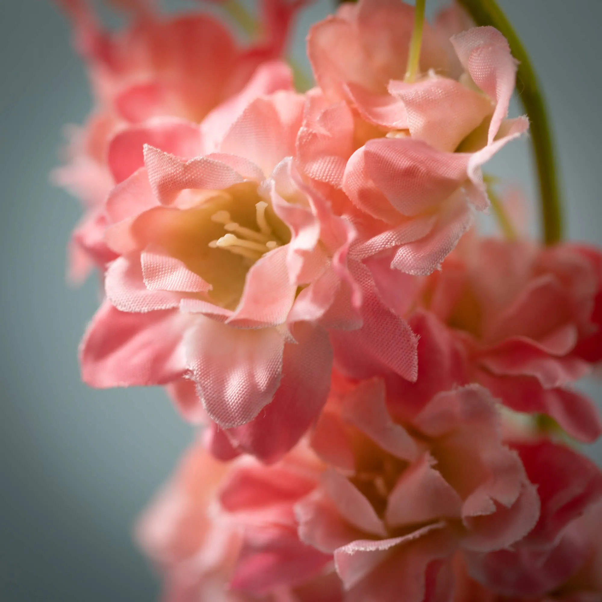 33.5"H Sullivans Pastel Pink Larkspur Spray, Pink