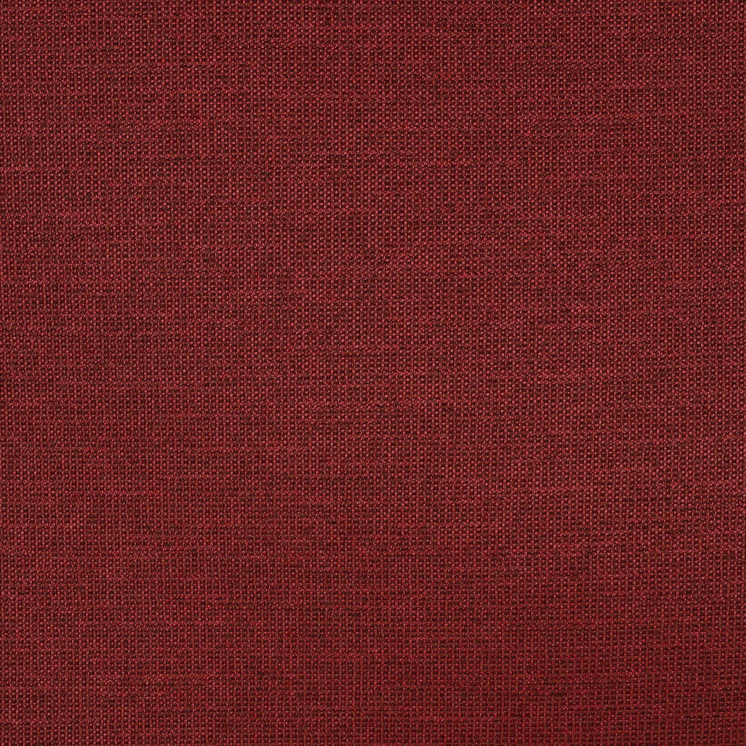 54" Rally Merlot (Transcend)