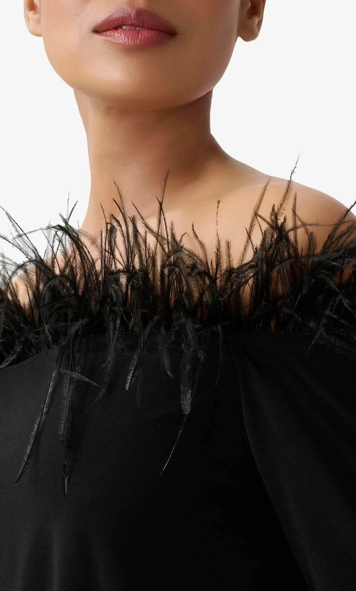 Adrianna Papell AP1E210212 - Feather Trimmed Jumpsuit
