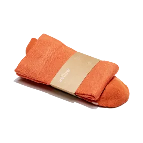 Apricot Twist - 3 Pack