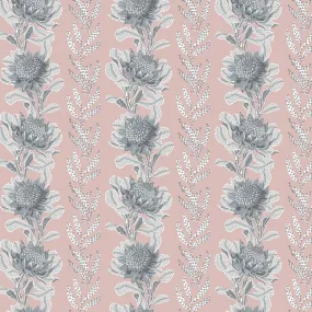 Imperial Waratah Blush Wallpaper
